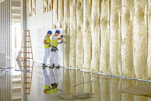 Best Residential Insulation in Fairplains, NC